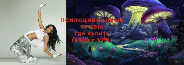 индика Заволжье