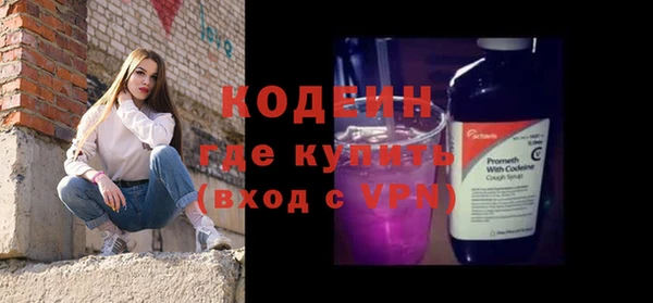 индика Заволжье