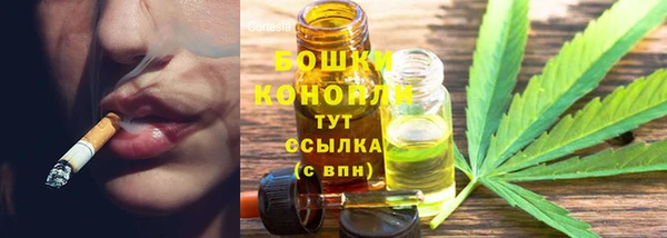 индика Заволжье