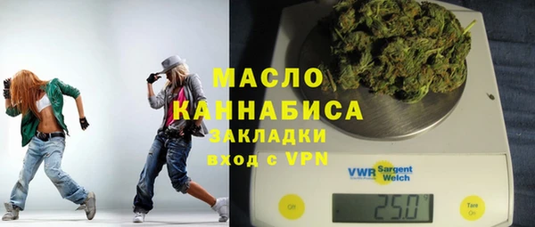 индика Заволжье