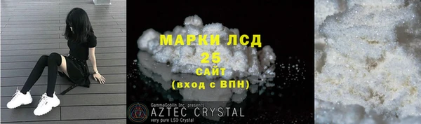 прущий лед Инсар