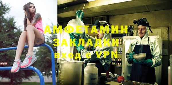 индика Заволжье