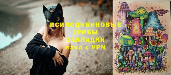 spice Заводоуковск