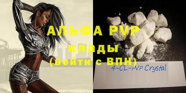 индика Заволжье