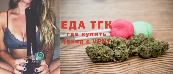 индика Заволжье