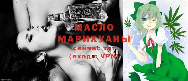 индика Заволжье