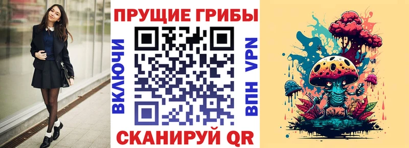 Купить где  Ипатово  Галлюциногенные грибы Magic Shrooms 